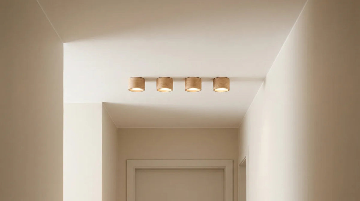 Spots de plafond