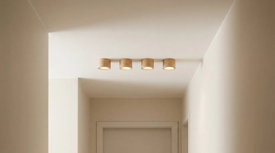 Spots de plafond