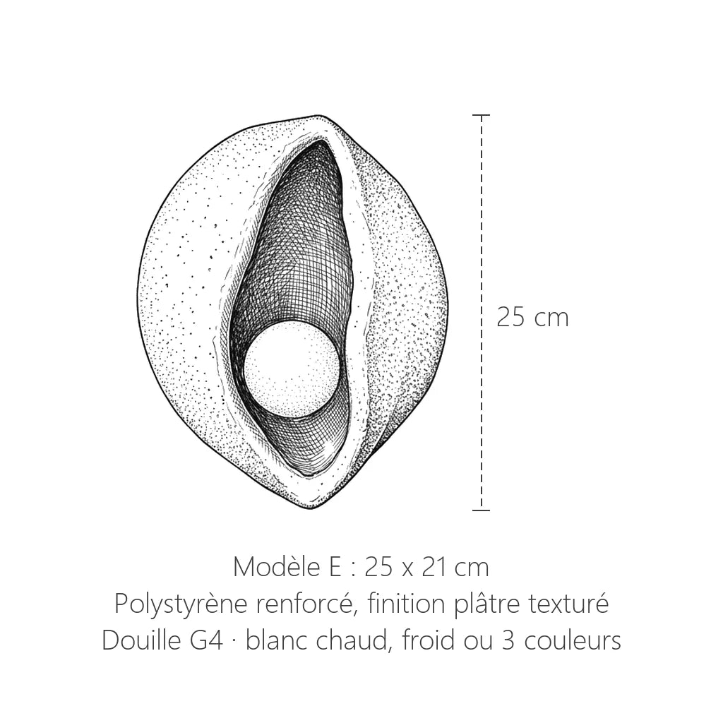 Dimensions de l'applique coque effet plâtre modèle E : 25 x 21 cm