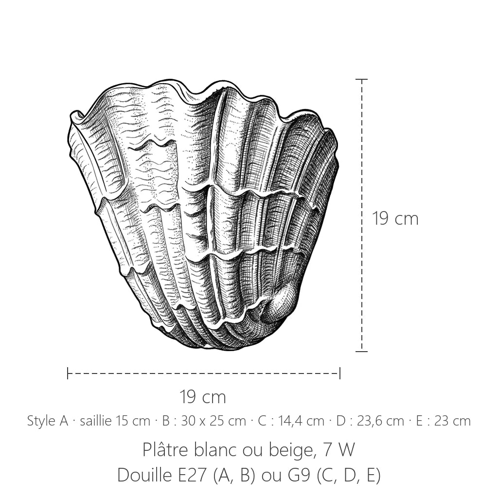 Dimensions de l'applique coquillage en plâtre, style A : 19 x 19 cm
