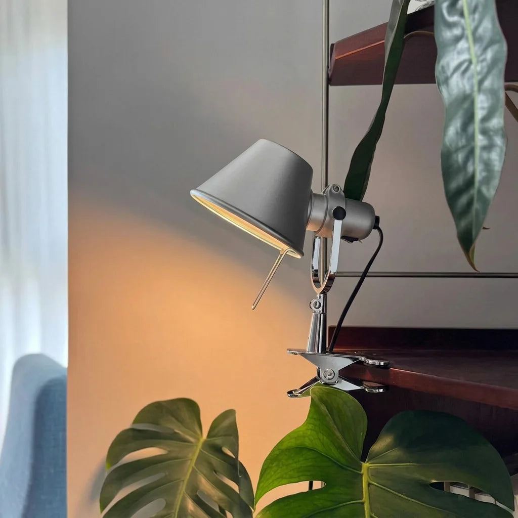 Lampe à pince en aluminium sur une étagère en bois entre des plantes