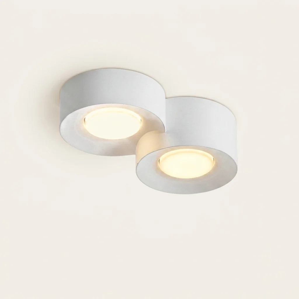 Plafonnier 2 spots LED blancs cylindriques en saillie
