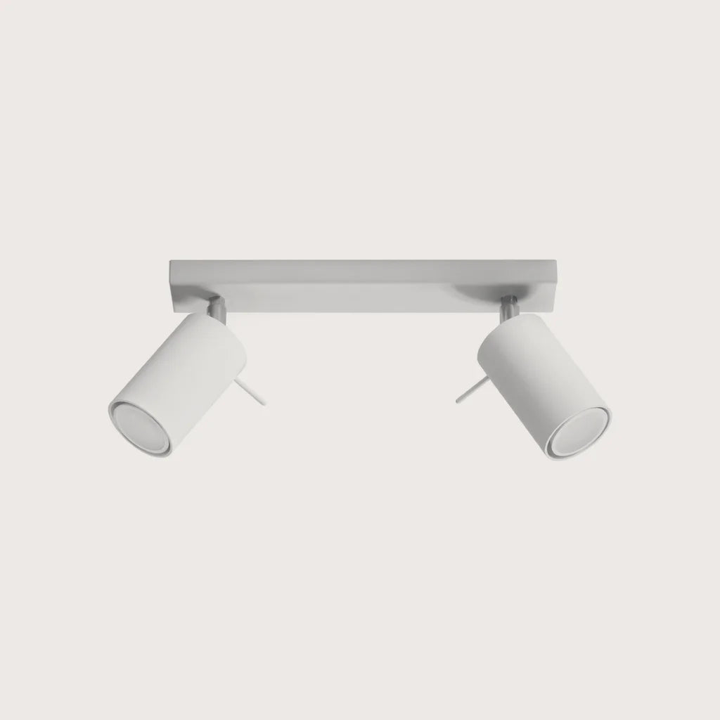 Plafonnier spots orientables tubes, coloris blanc (2 lumières – barre 30 cm)