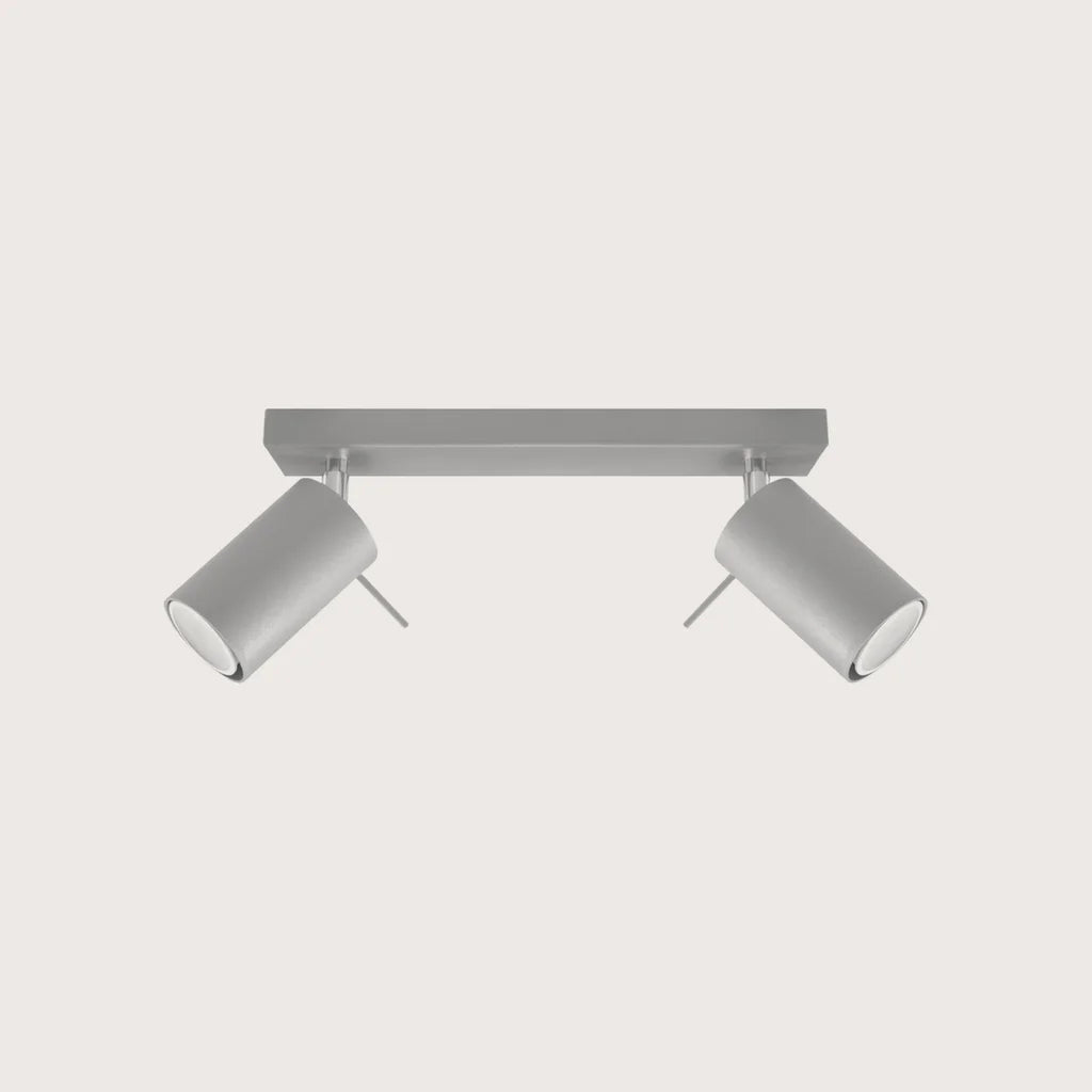 Plafonnier spots orientables tubes, coloris gris (2 lumières – barre 30 cm)