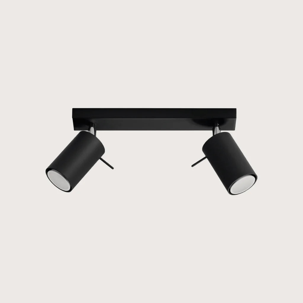 Plafonnier spots orientables tubes, coloris noir (2 lumières – barre 30 cm)