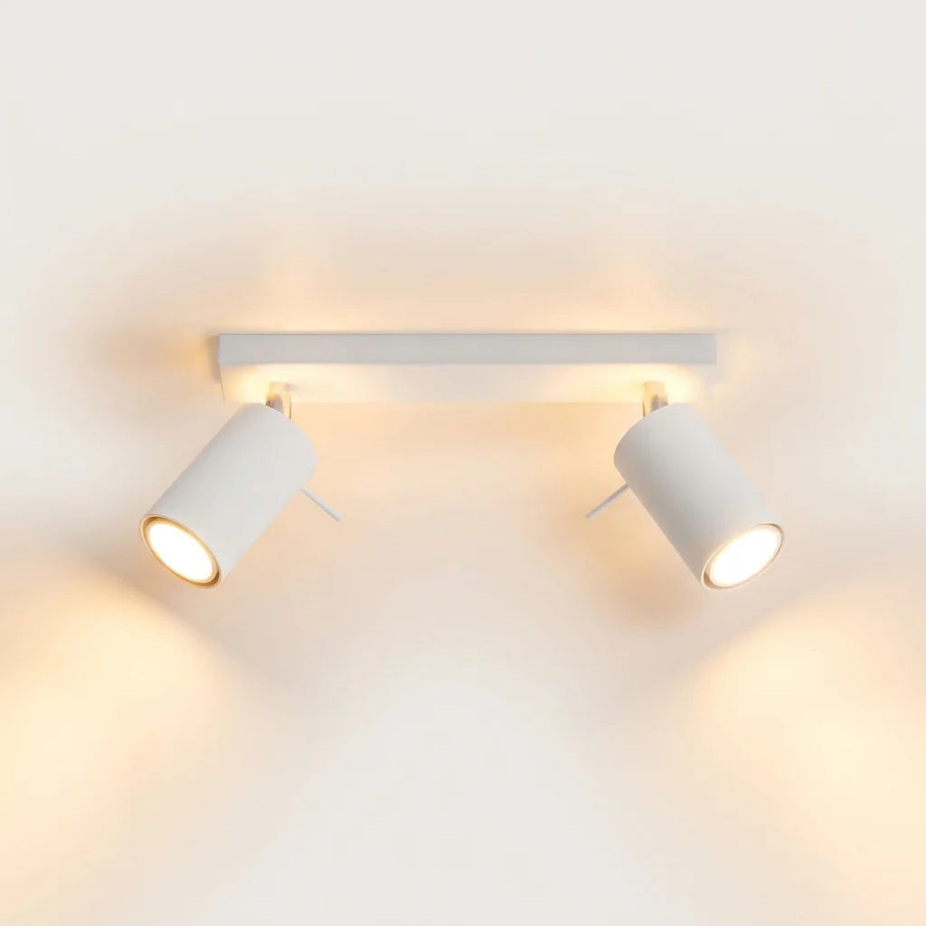 Plafonnier spots orientables tubes allumé