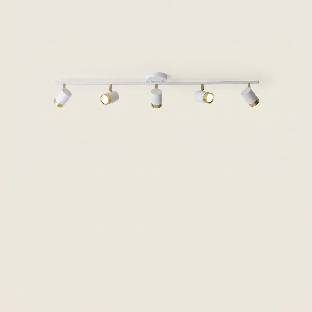 Rampe blanche 5 spots orientables, rosace ronde, modèle A