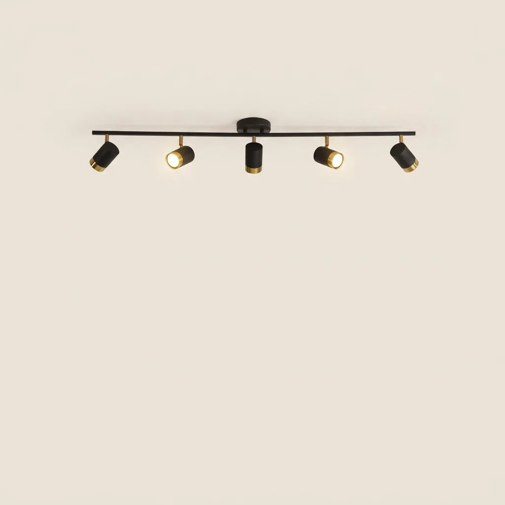 Rampe noire 5 spots orientables, rosace ronde, modèle A