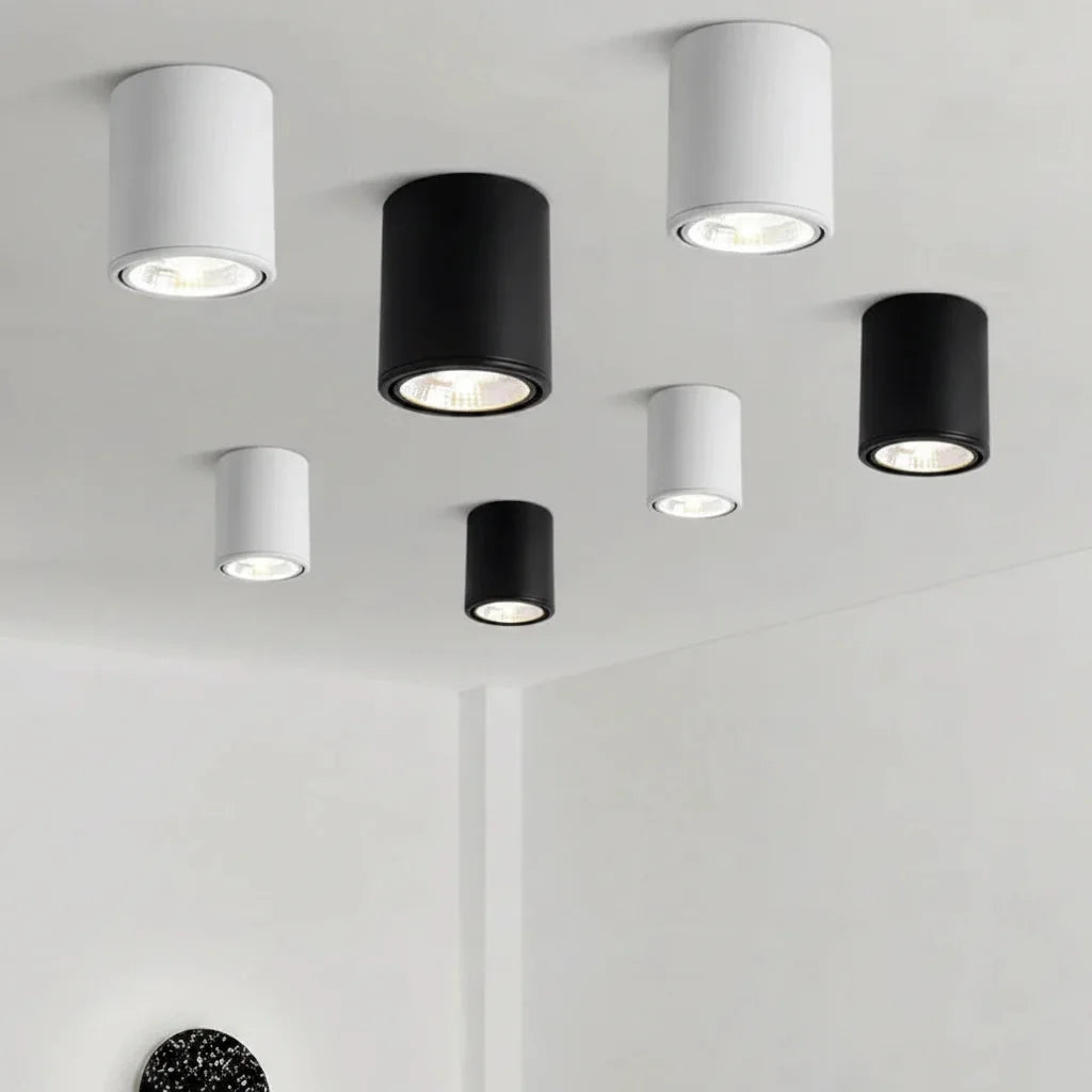 Spots cylindres noirs et blancs au plafond
