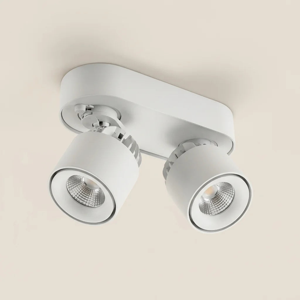 Spot LED COB orientable 2 têtes blanc
