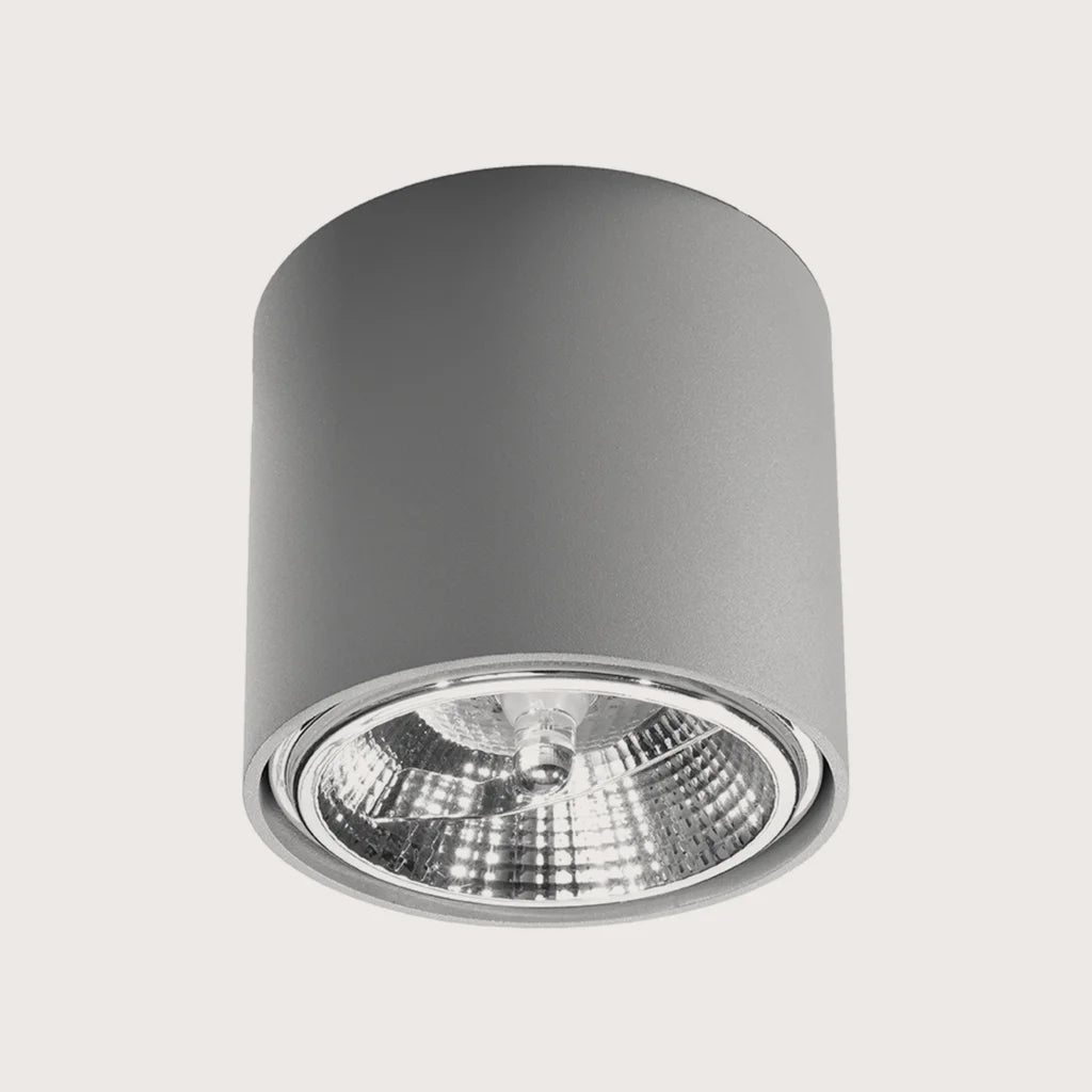 Spot plafond cylindre large ø 12 cm, coloris gris