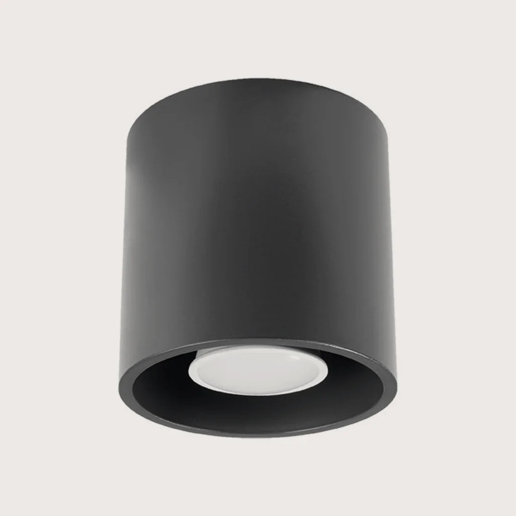 Spot plafond cylindre en saillie, coloris anthracite (1 spot – aluminium)
