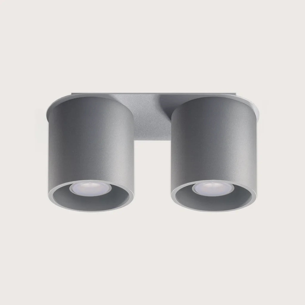 Spot plafond cylindre en saillie, coloris gris (2 spots – aluminium)