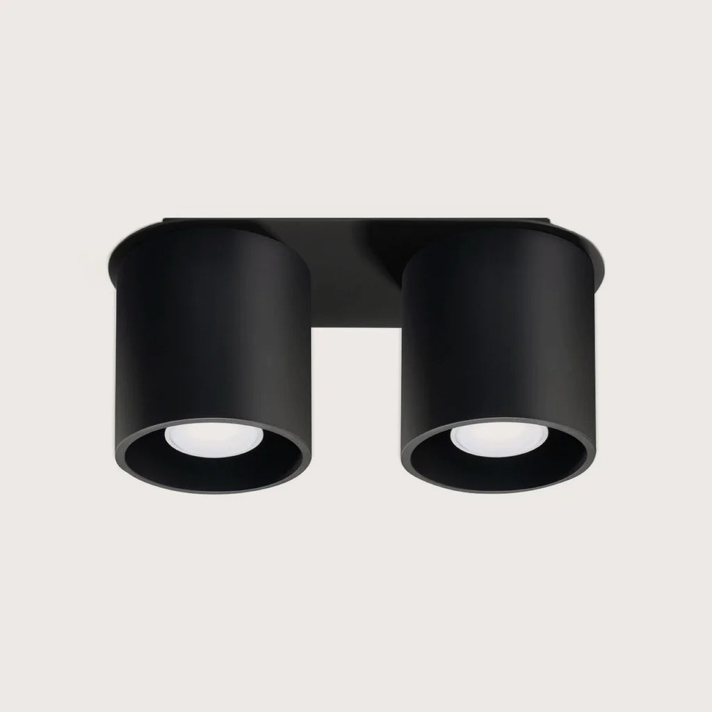 Spot plafond cylindre en saillie, coloris noir (2 spots – aluminium)