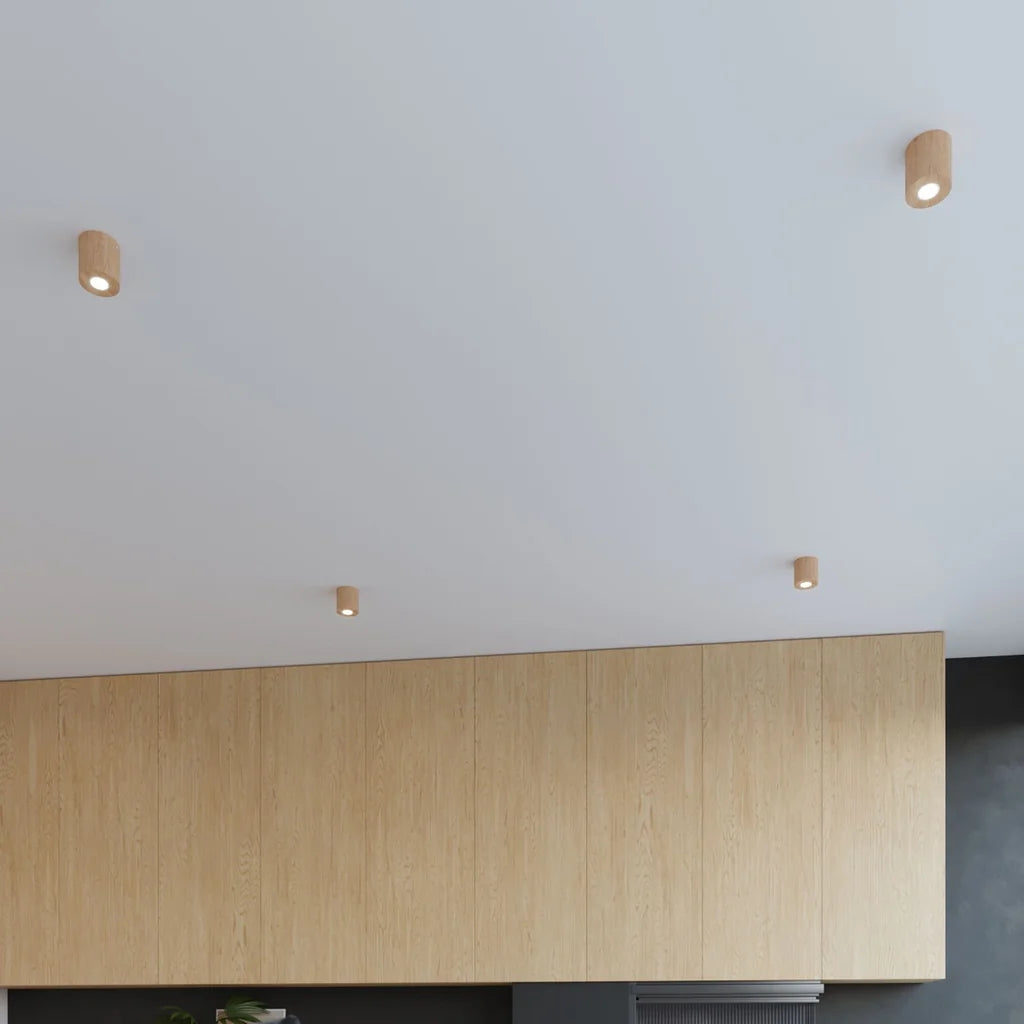 Spot plafond cylindre en saillie dans une cuisine