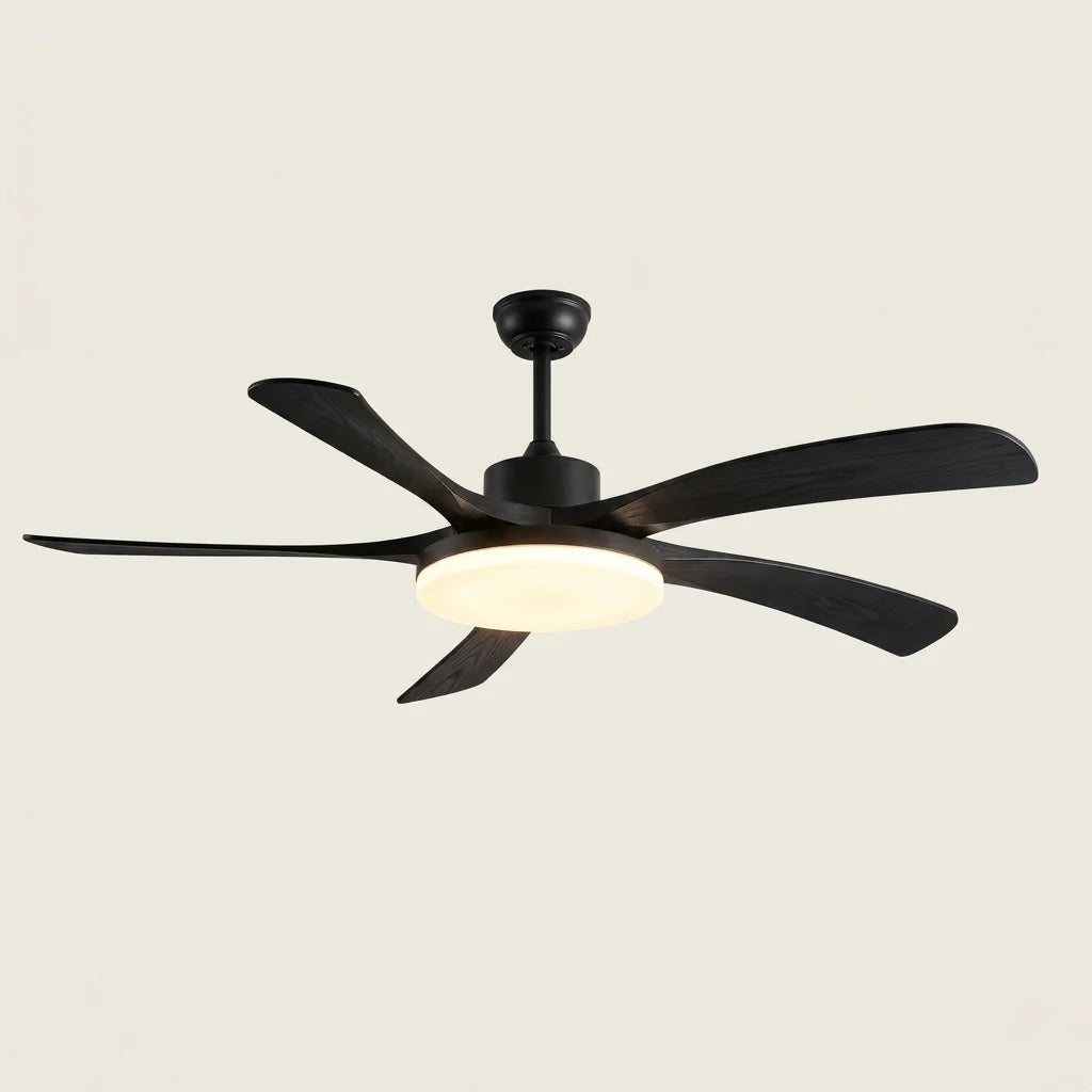 Ventilateur de plafond 5 pales entièrement noir